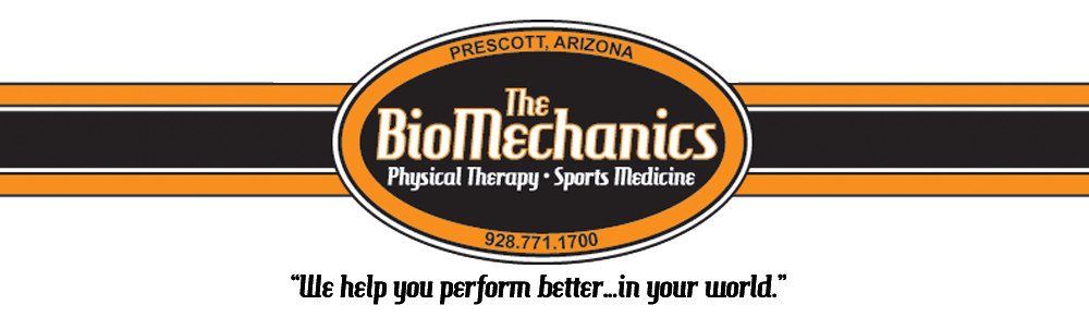 The Biomechanics Physicial Therapy and Sports Medicine